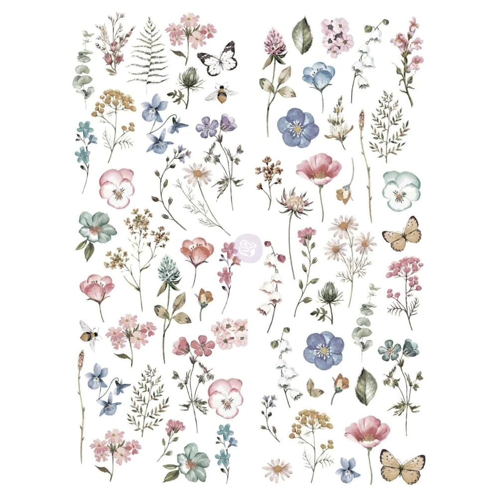Transfer - Delicate Fleur
