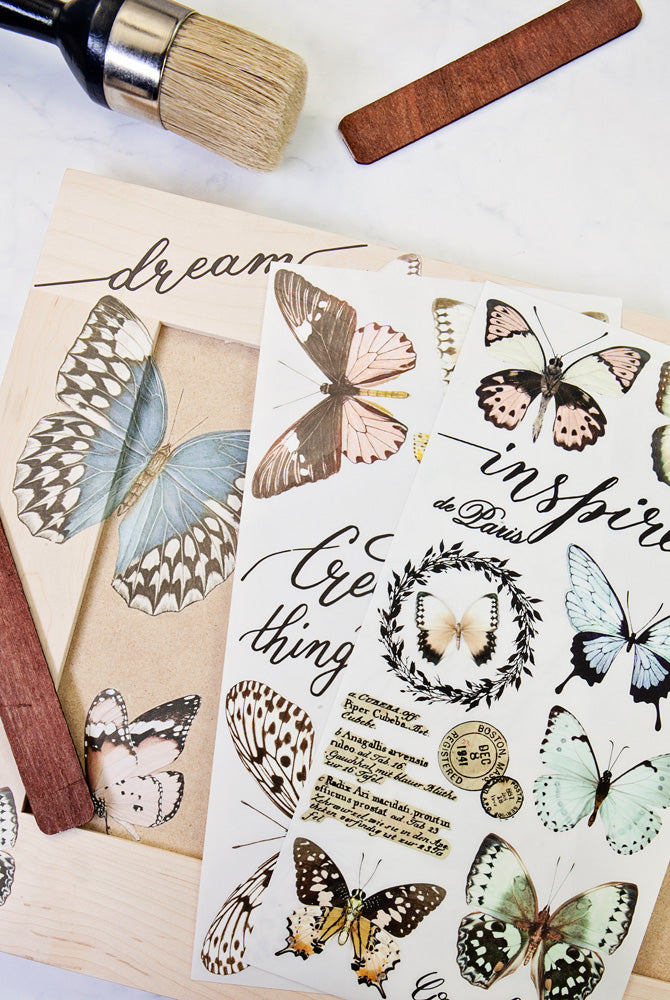 Transfer - Papillon Collection