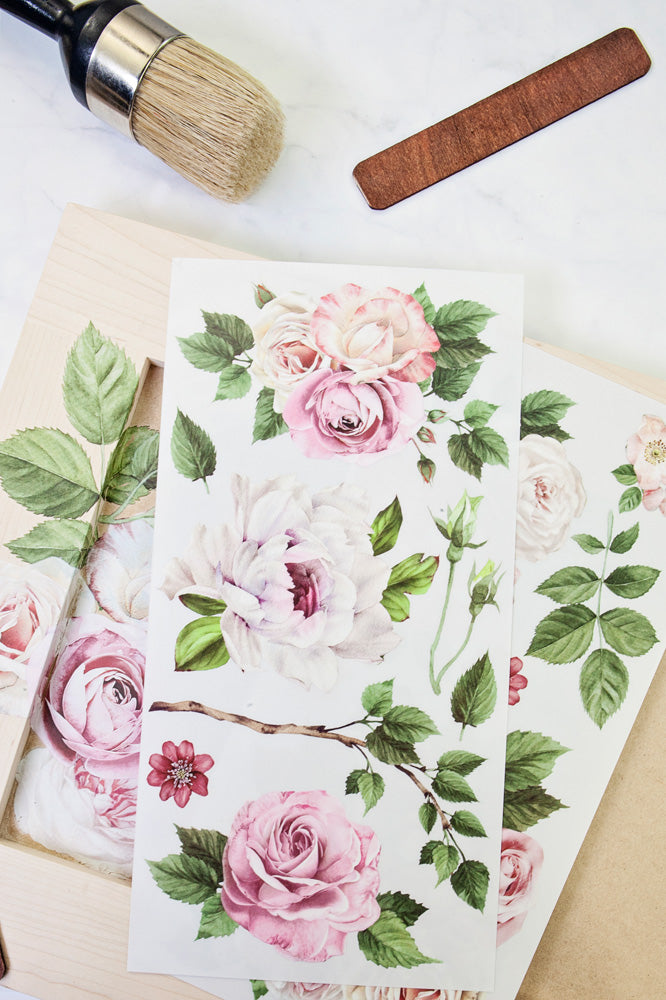 Small Transfer - Delicate Roses