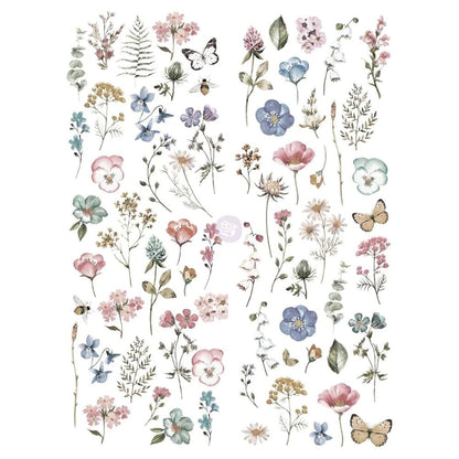 Transfer - Delicate Fleur