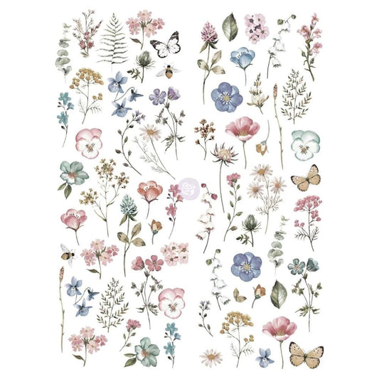 Transfer - Delicate Fleur