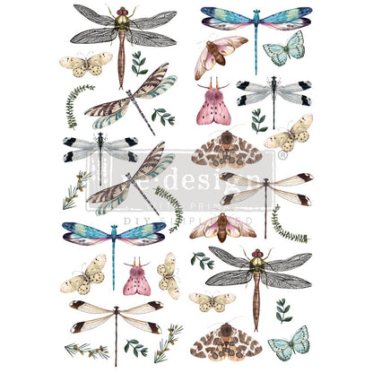 Transfer - Riverbed Dragonflies