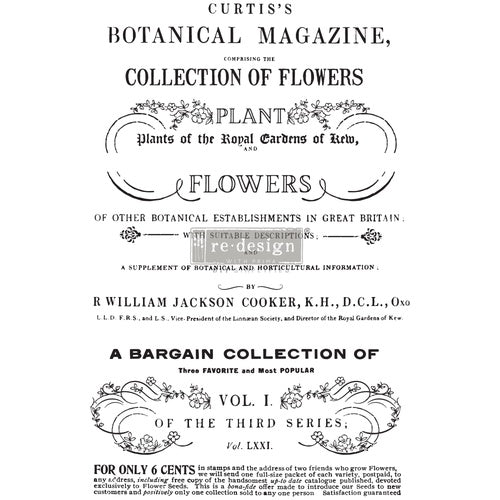 Transfer - Botanical Magazine