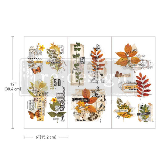 Small Transfer - Foliage Collector