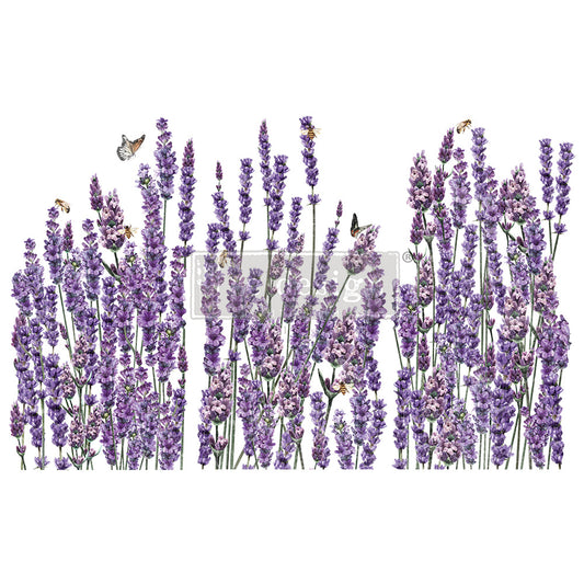 Transfer - Champs De Lavende