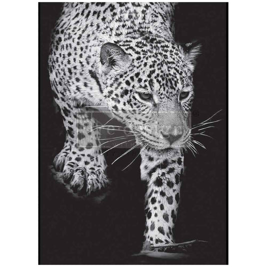 A1 Decoupage Fiber - Feline Gaze