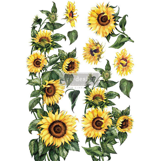 Transfer - Sunflower