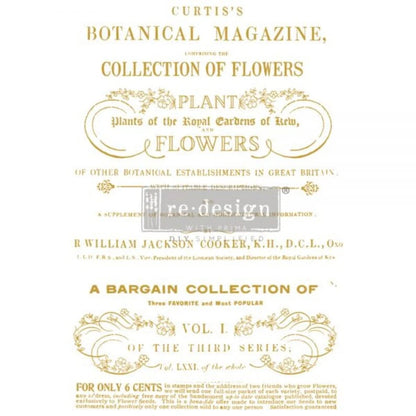 Transfer - Flower Collector