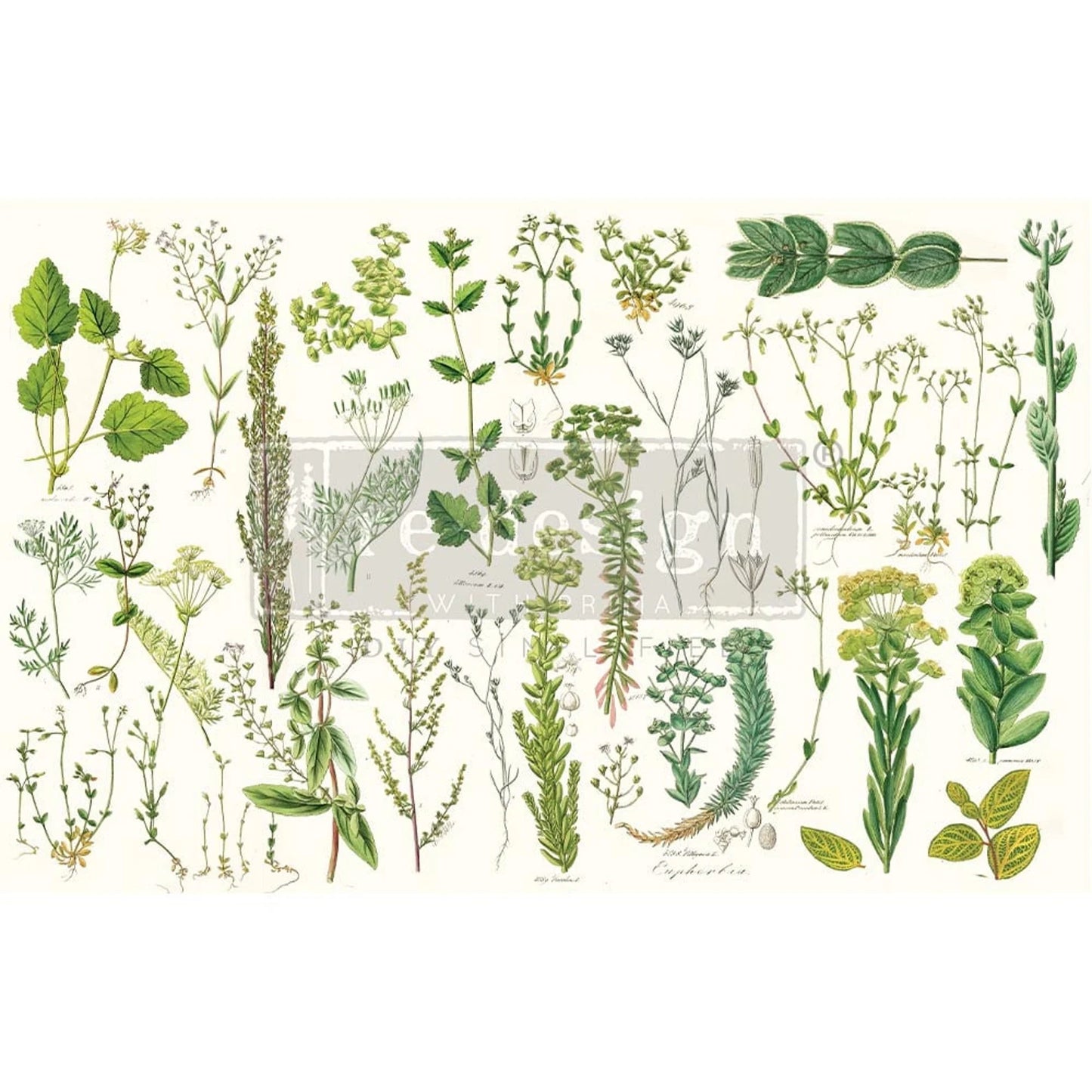 Decoupage - Dekorpapir - Greenery