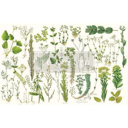 Decoupage - Dekorpapir - Greenery
