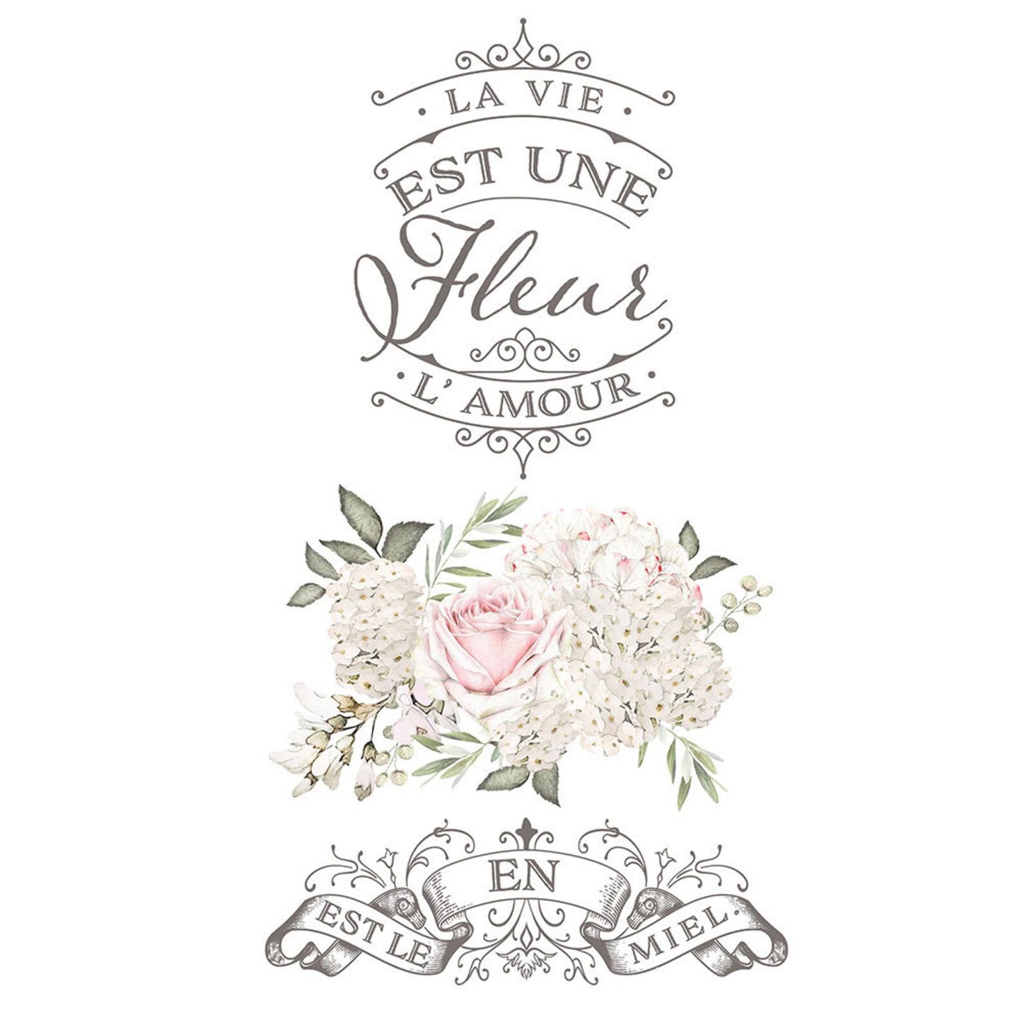 Transfer - La Vie Est Une Fleur