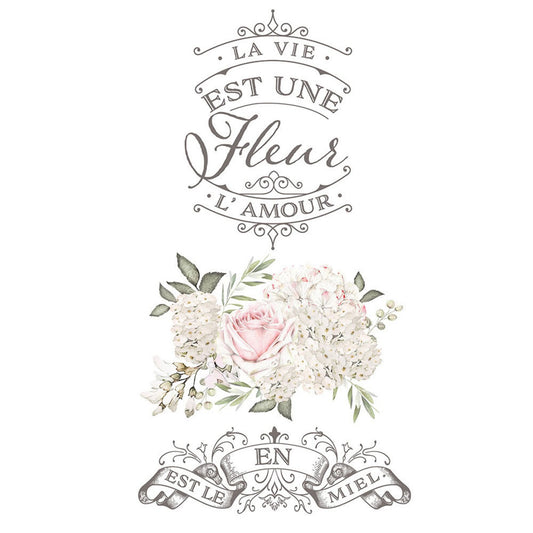 Transfer - La Vie Est Une Fleur