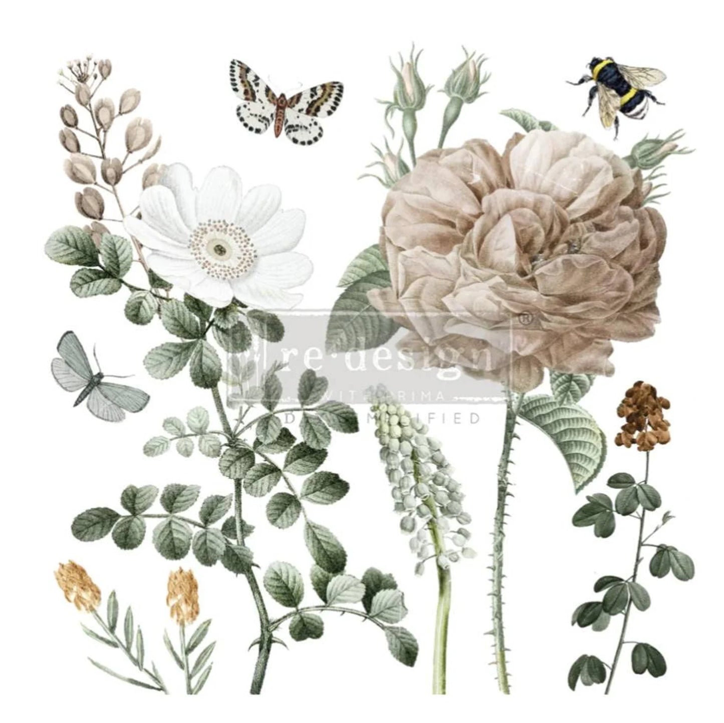 Transfer - An Afternoon In The Garden