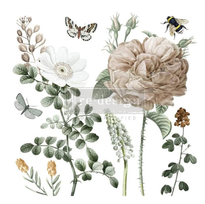 Transfer - An Afternoon In The Garden