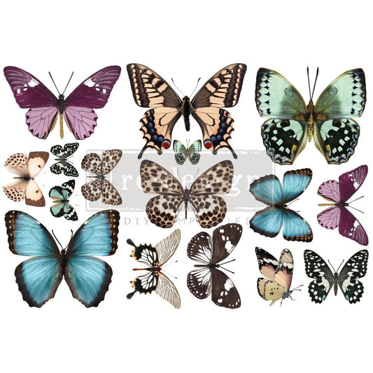 Small Transfer - Butterfly