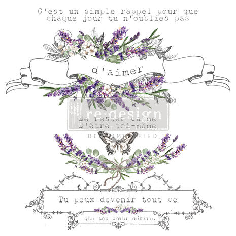 Transfer -  Maison De Paris